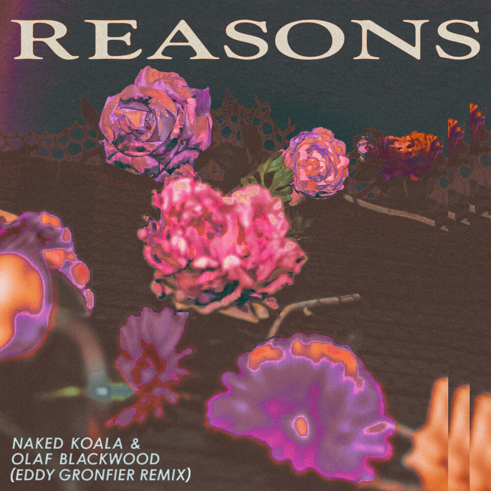 Picture of Reasons (Eddy Gronfier Remix)