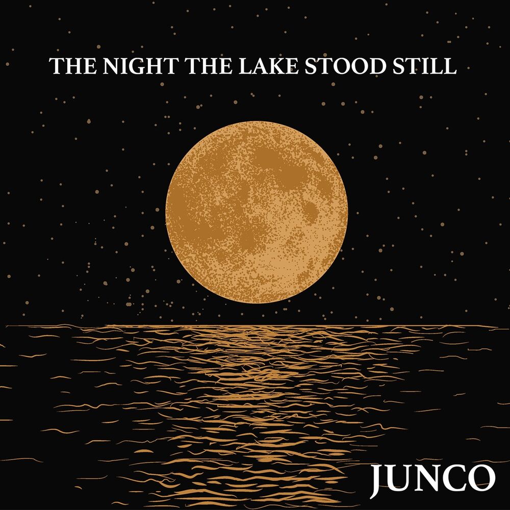 Picture of The Night the Lake Stood Still