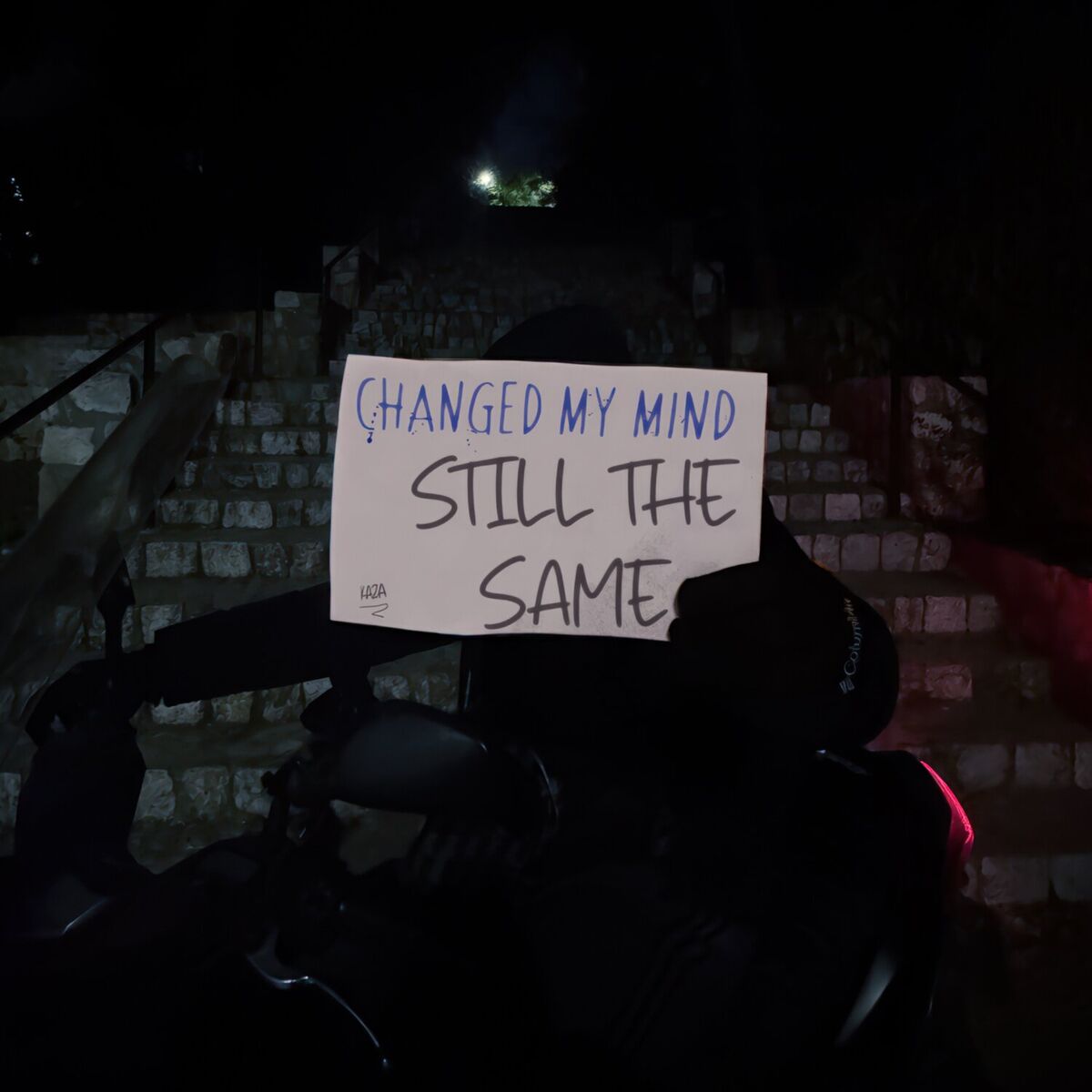 Album cover of STS