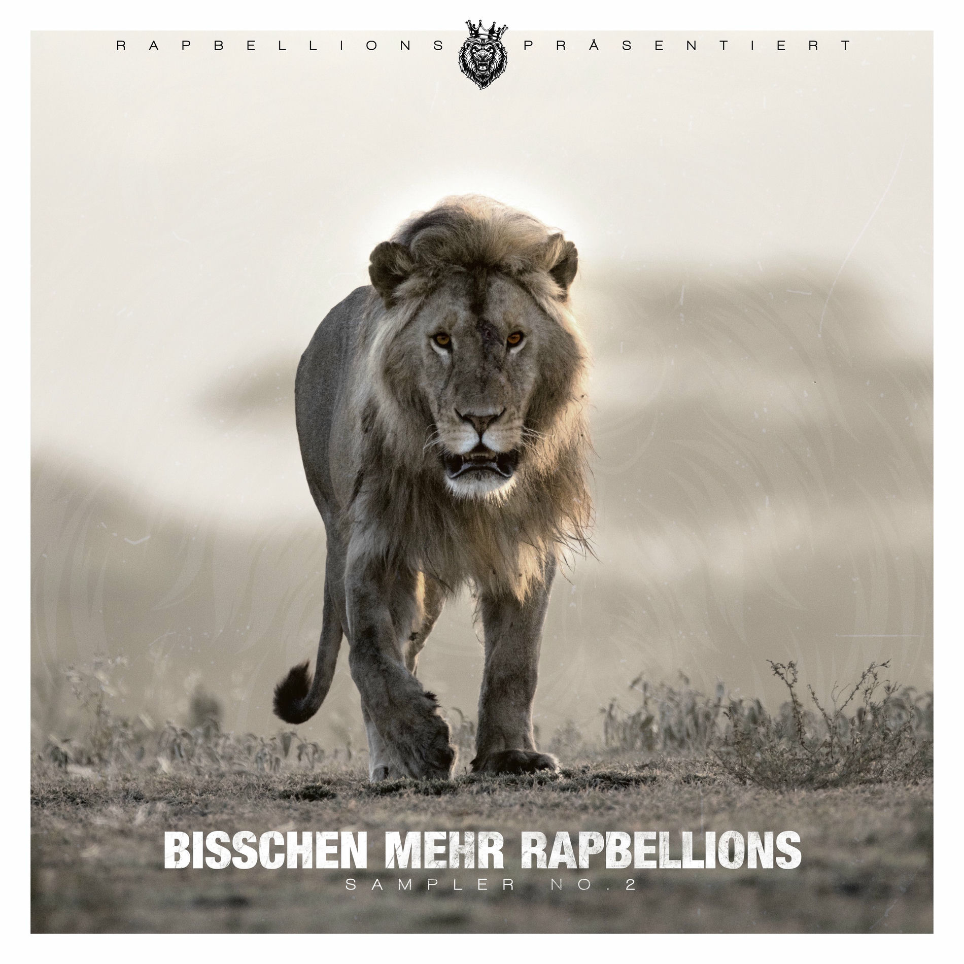 Album cover of Intro