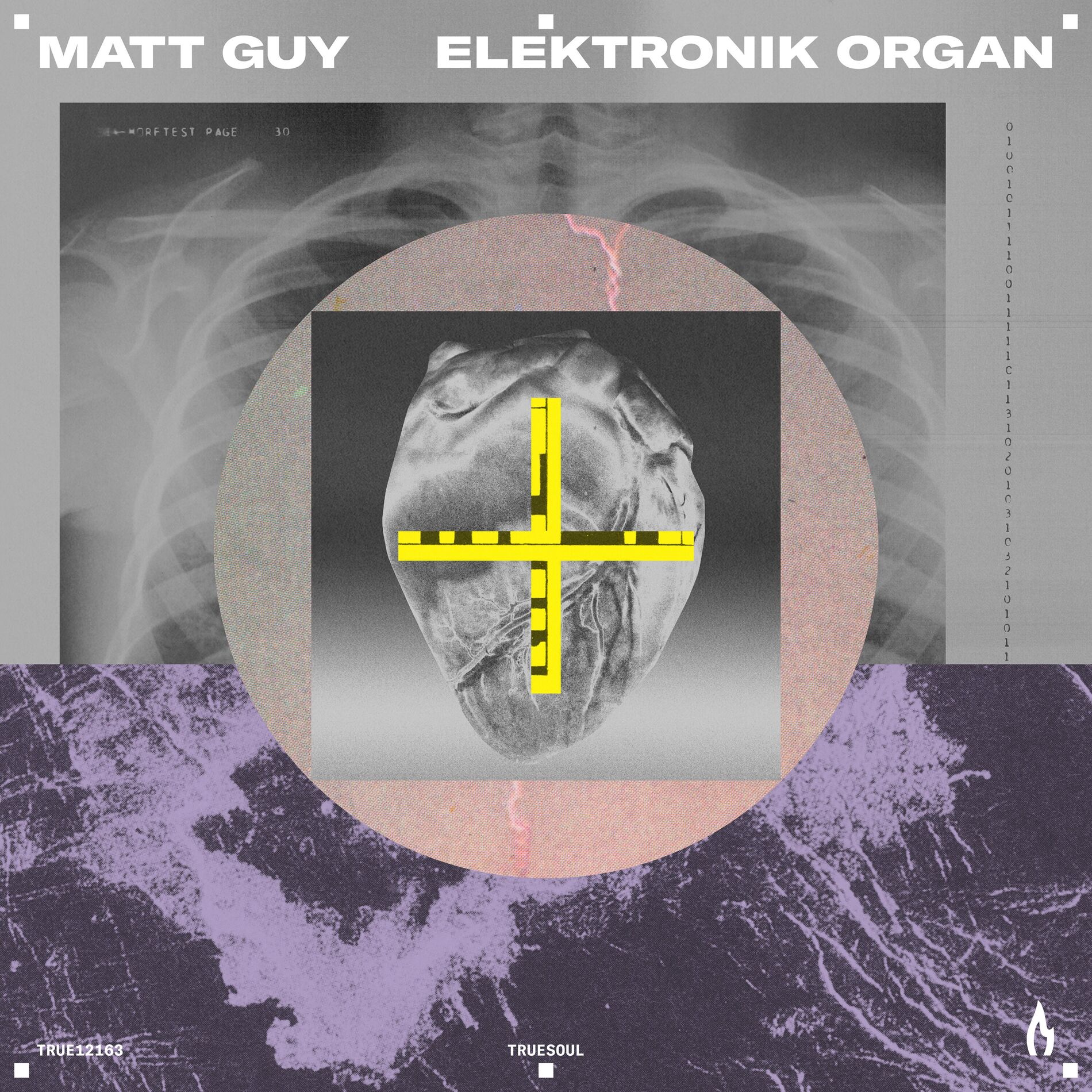 Album cover of Elektronik Organ