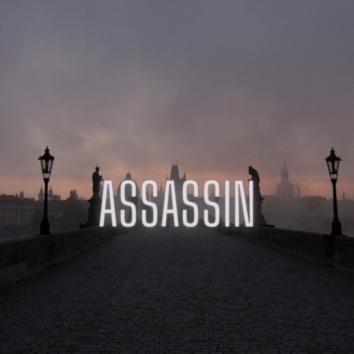 Album cover of Assassin