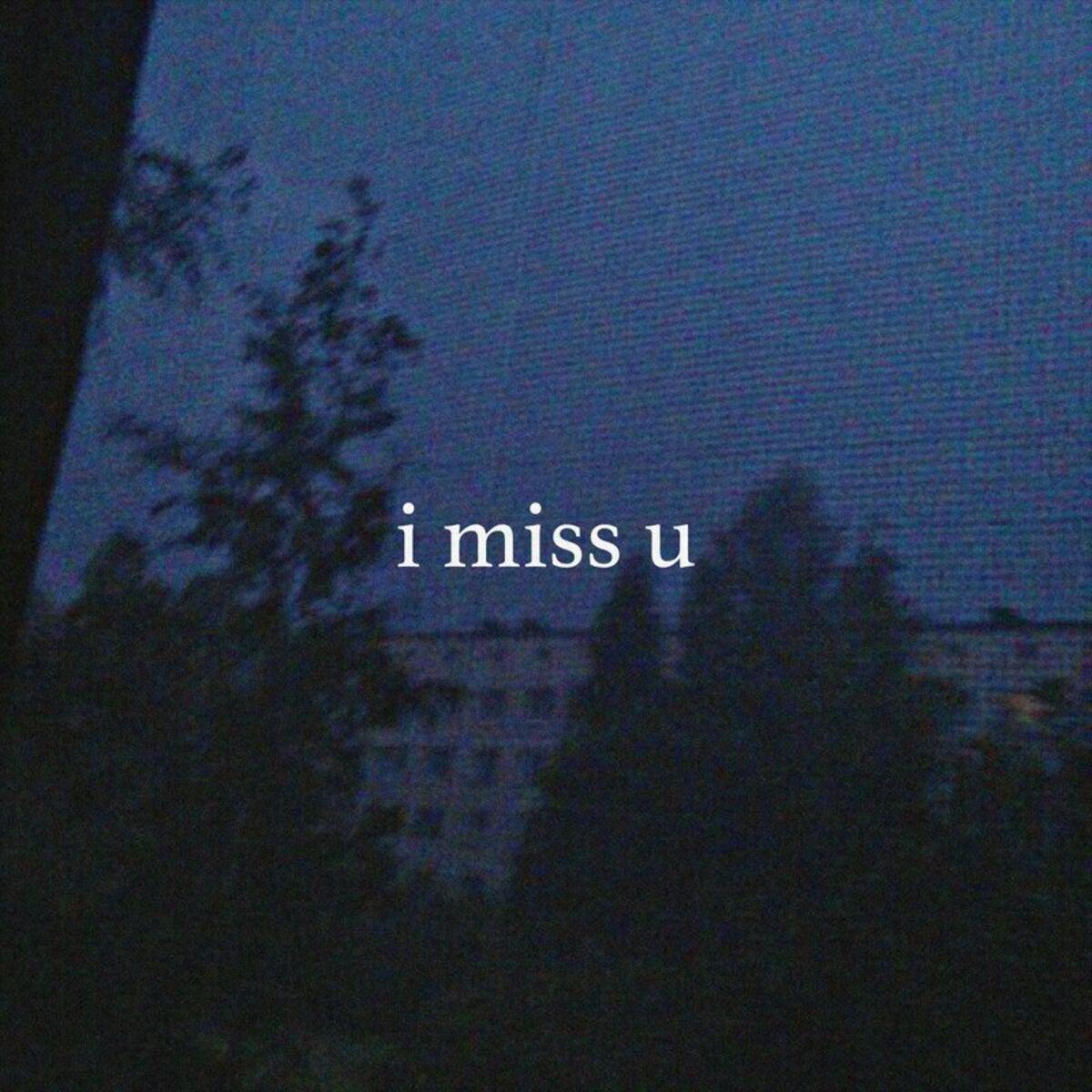 Album cover of i miss u
