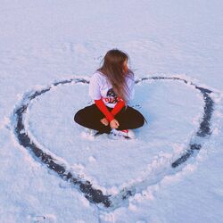 Cover of Mistletoe