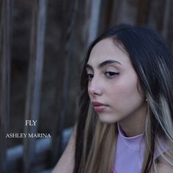 Cover of FLY