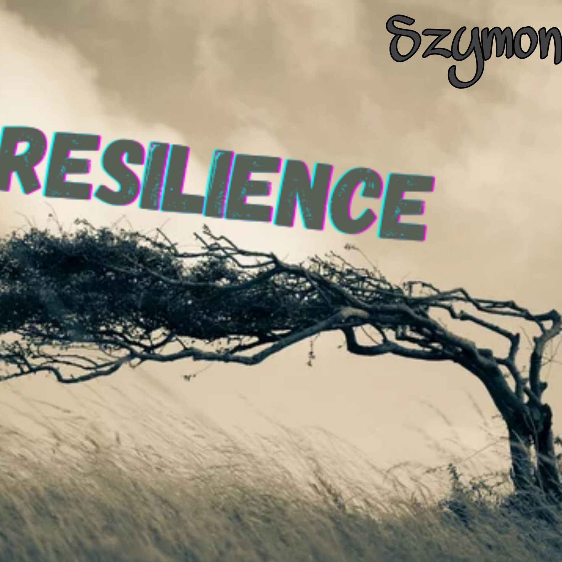 Album cover of Resilience