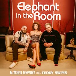 Cover of Elephant in the Room (feat. Teddy Swims)