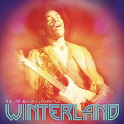 Cover of Winterland