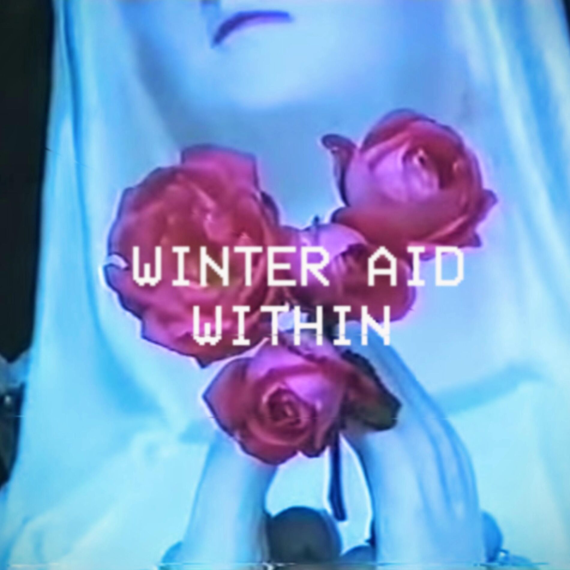 Album cover of Within