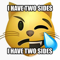 emoji chat qui rigole ≽^•⩊•^≼ (feat. 7sko)