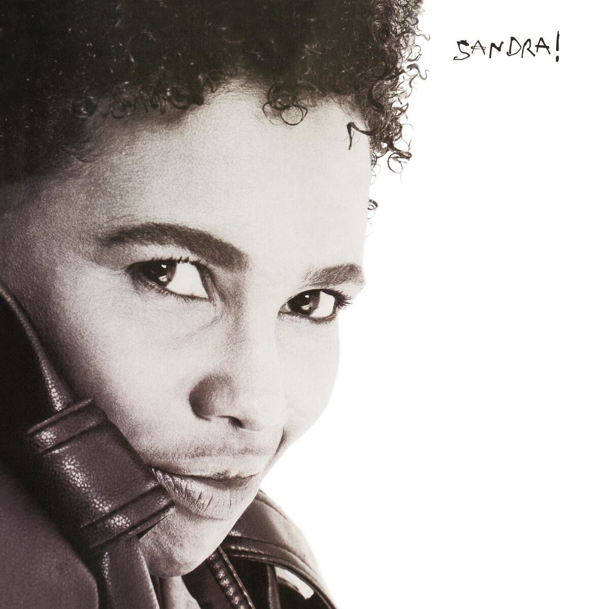 Album cover of Slogan (feat. Djavan & Marina Lima)