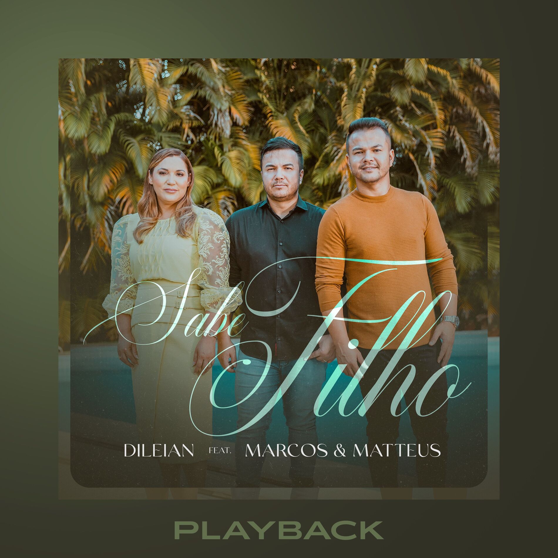Album cover of Sabe Filho (Playback)