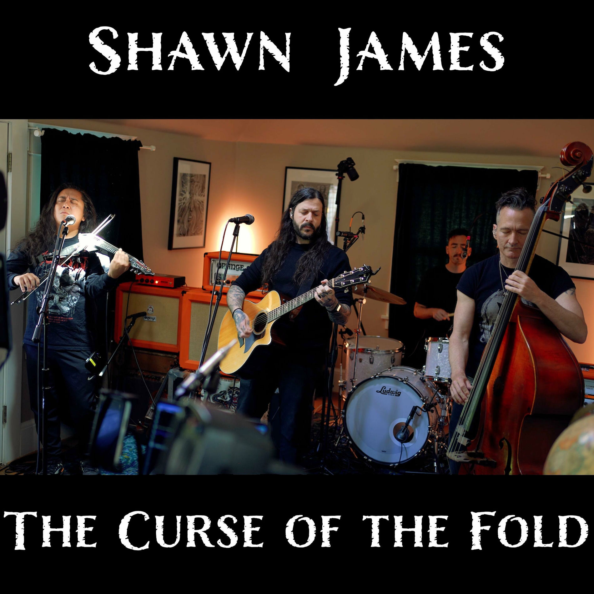 Album cover of The Curse of the Fold