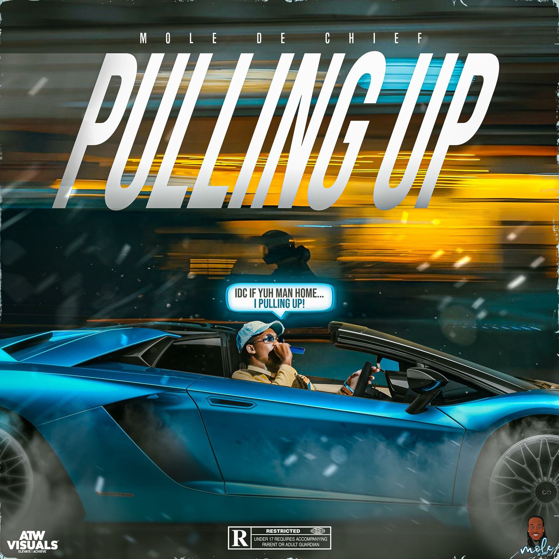 Album cover of Pulling Up (feat. Mole De Chief)
