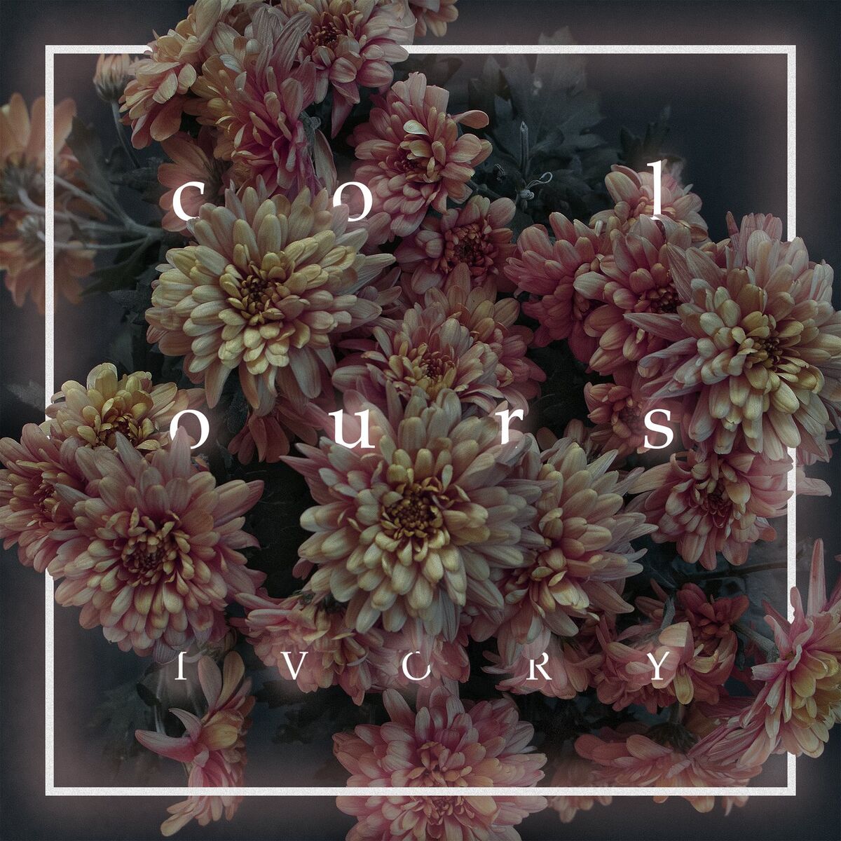 Album cover of Monster