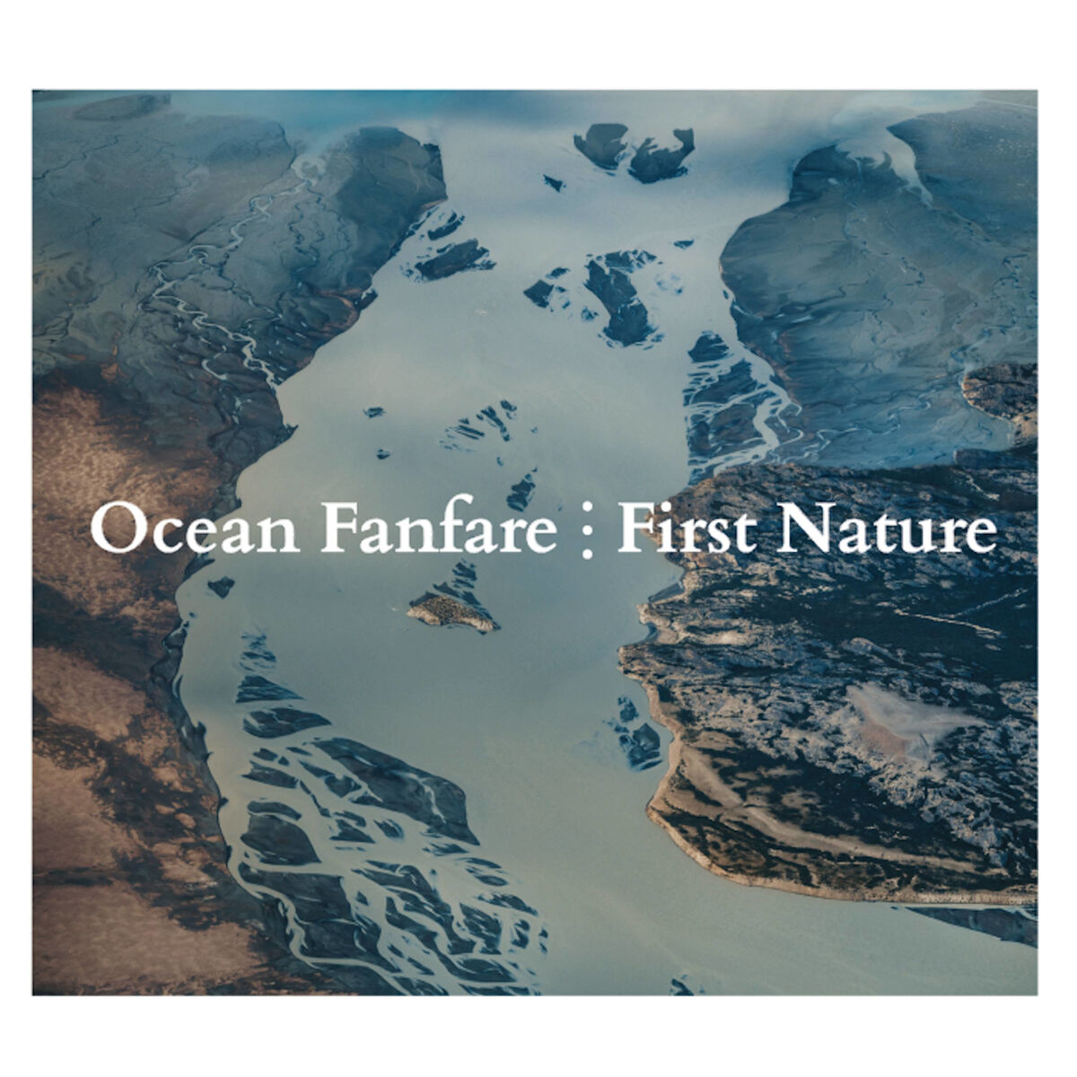 Album cover of First Nature