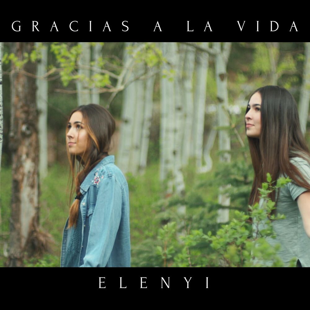 Picture of Gracias a la Vida
