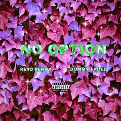 Cover of No Option