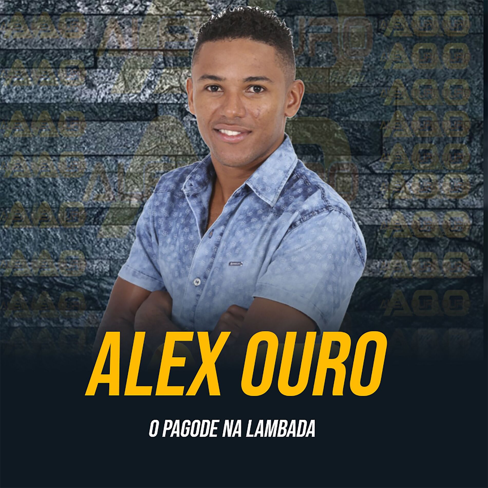 Album cover of O Pagode na Lambada