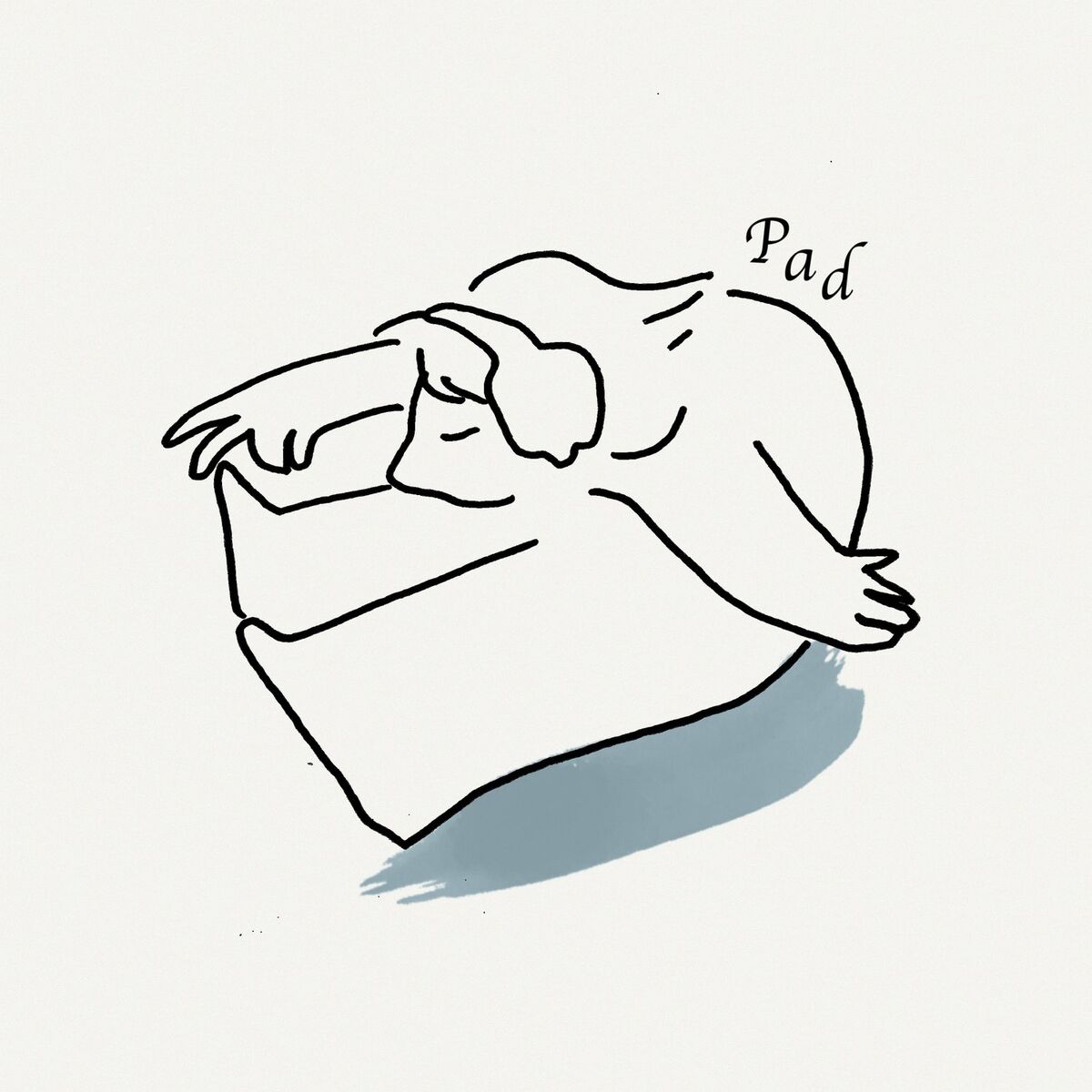 Album cover of Pad