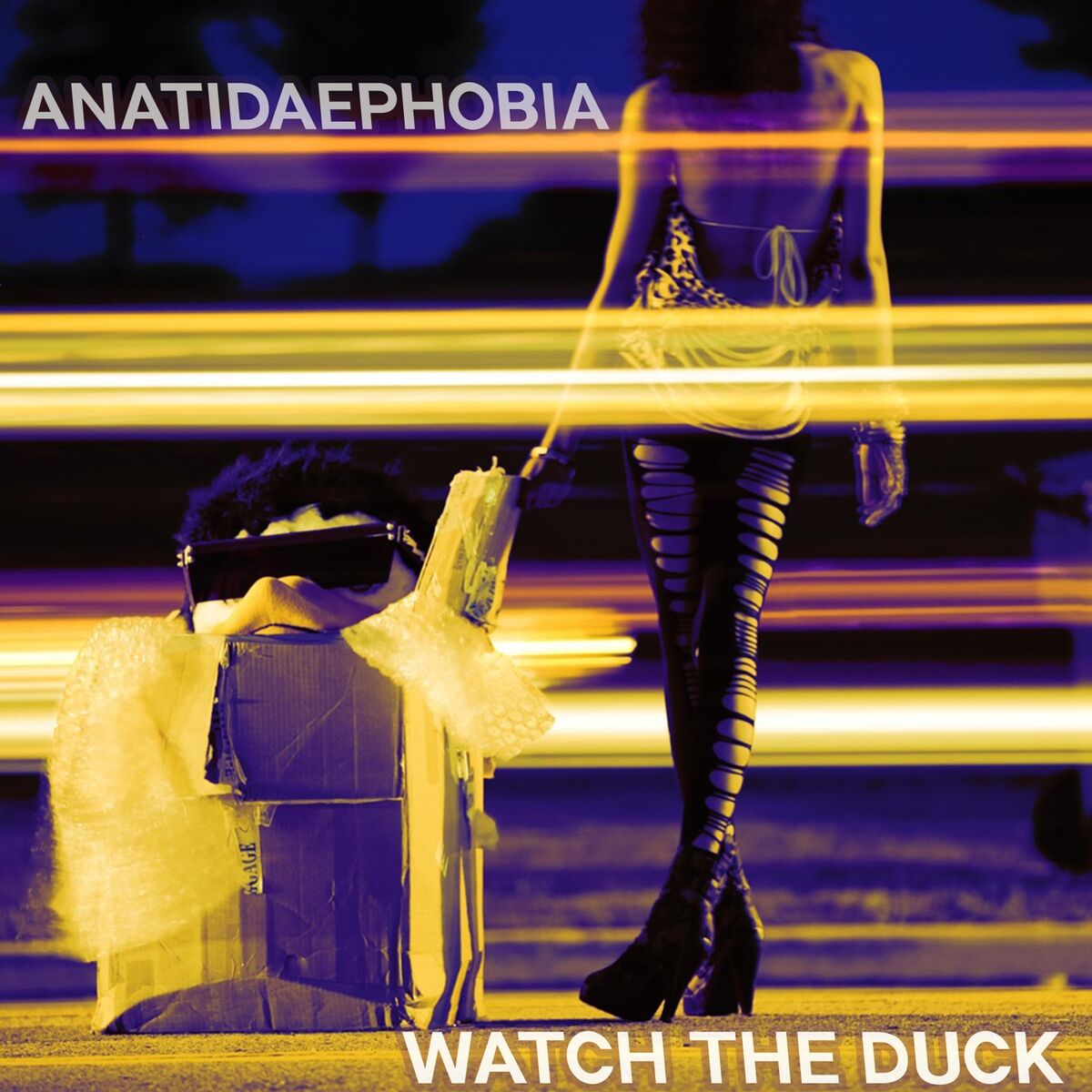 Album cover of Anatidaephobia
