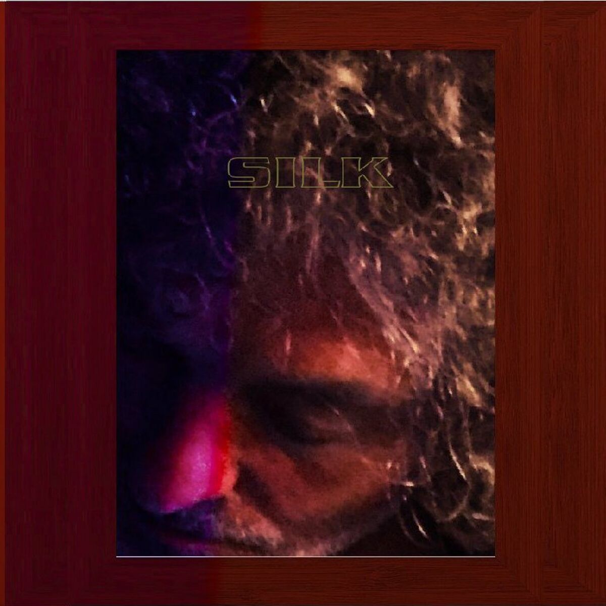 Album cover of Silk