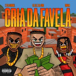 Cover of Cria da Favela