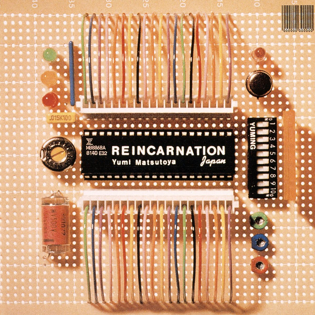 Album cover of Reincarnation