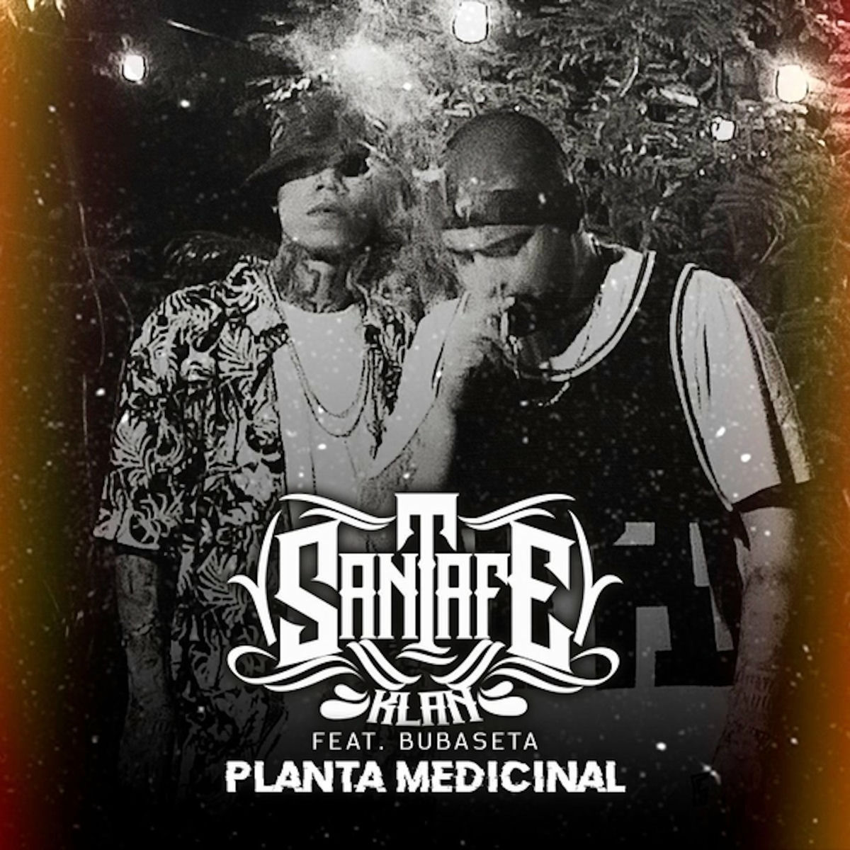 Album cover of Planta Medicinal