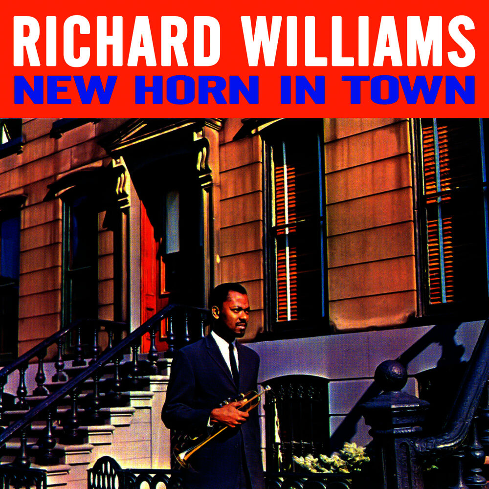 Picture of New Horn in Town
