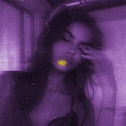 rip (slowed & reeverb)
