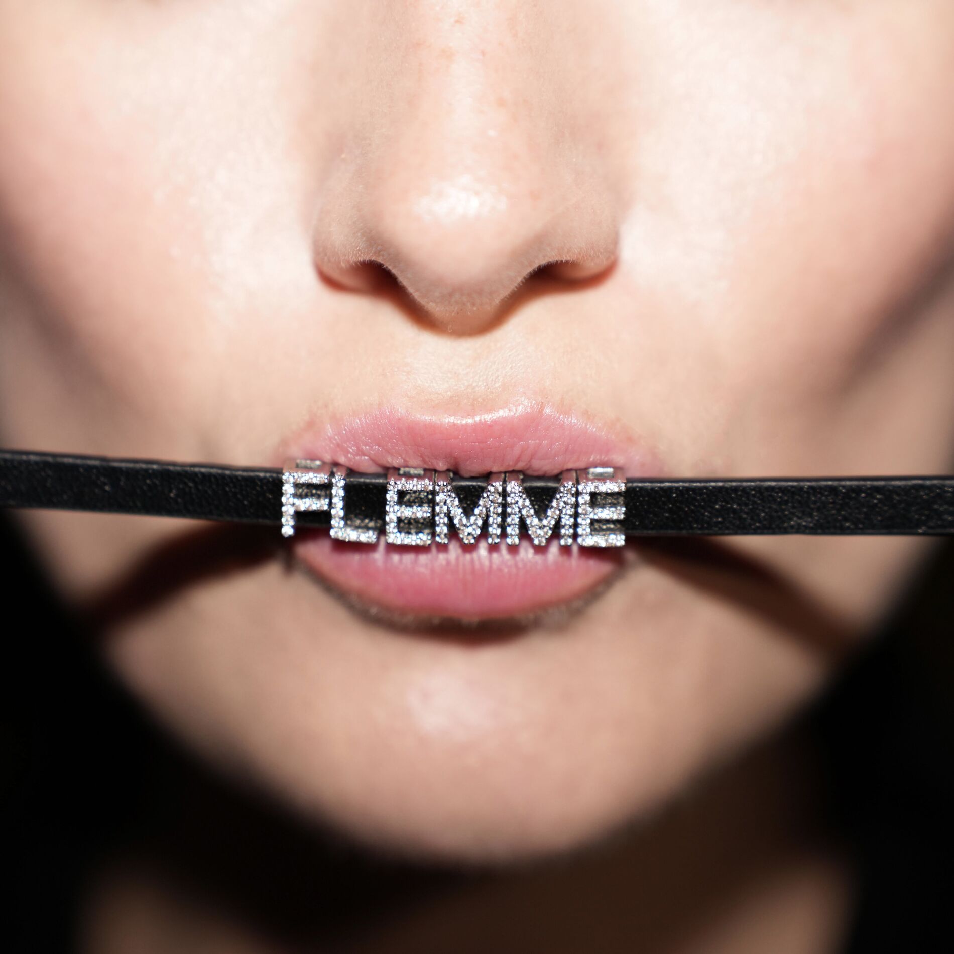 Album cover of Flemme