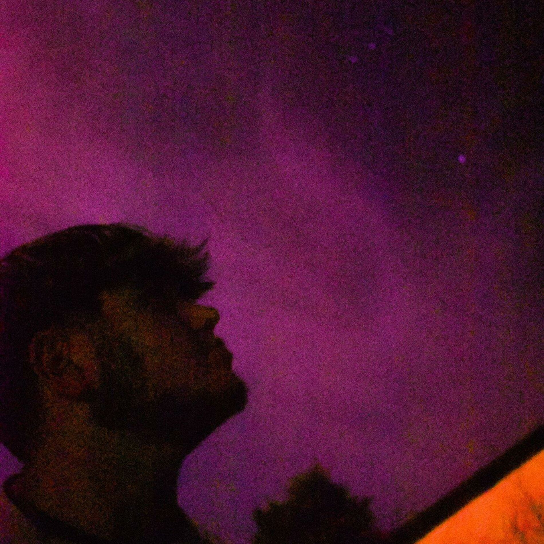 Album cover of Falling in Love Again