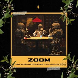 Cover of Zoom