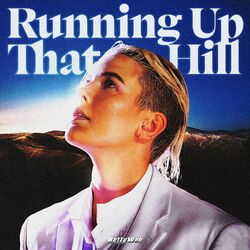 Cover of RUNNING UP THAT HILL