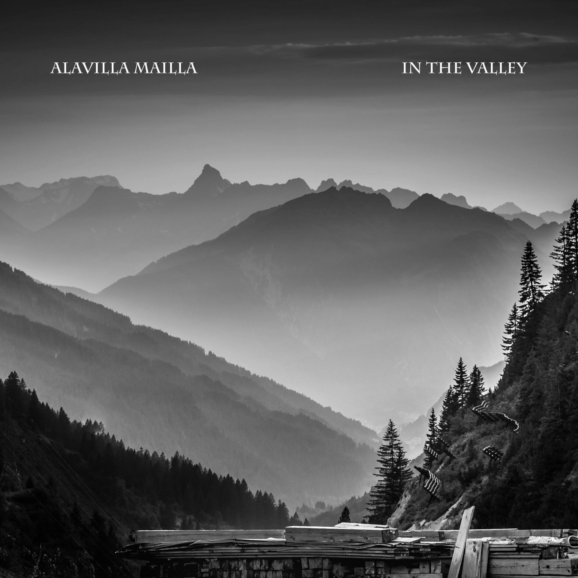 Album cover of In the Valley