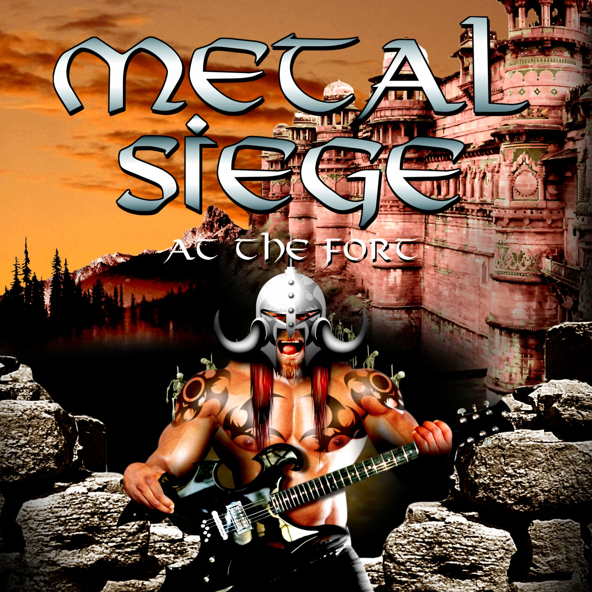 Album cover of At The Fort