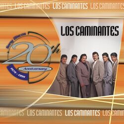 Cover of 20th Anniversary