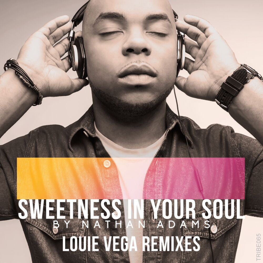 Picture of Sweetness in Your Soul (Louie Vega Remixes)