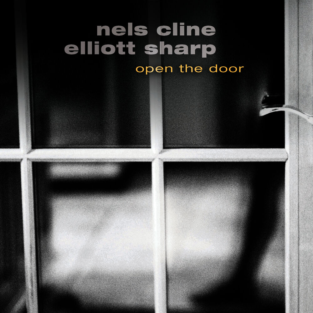 Picture of Open the Door