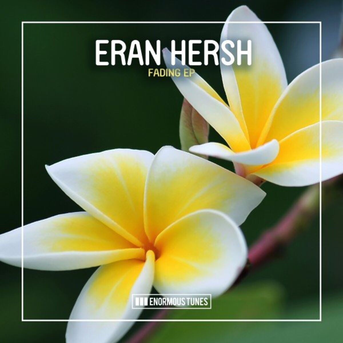 Album cover of Fading EP