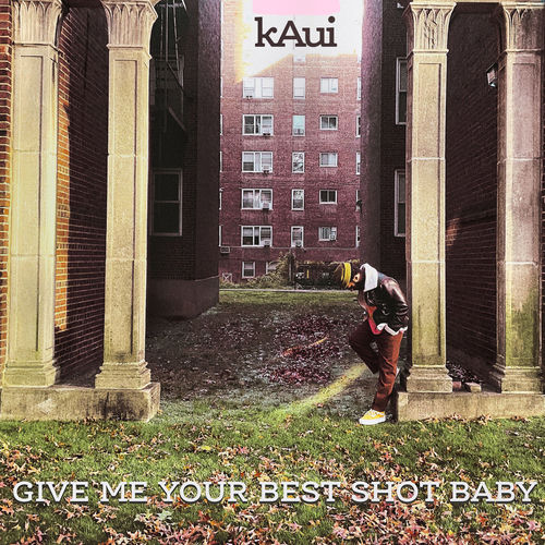 Give Me Your Best Shot Baby artwork