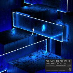 Cover of Now Or Never