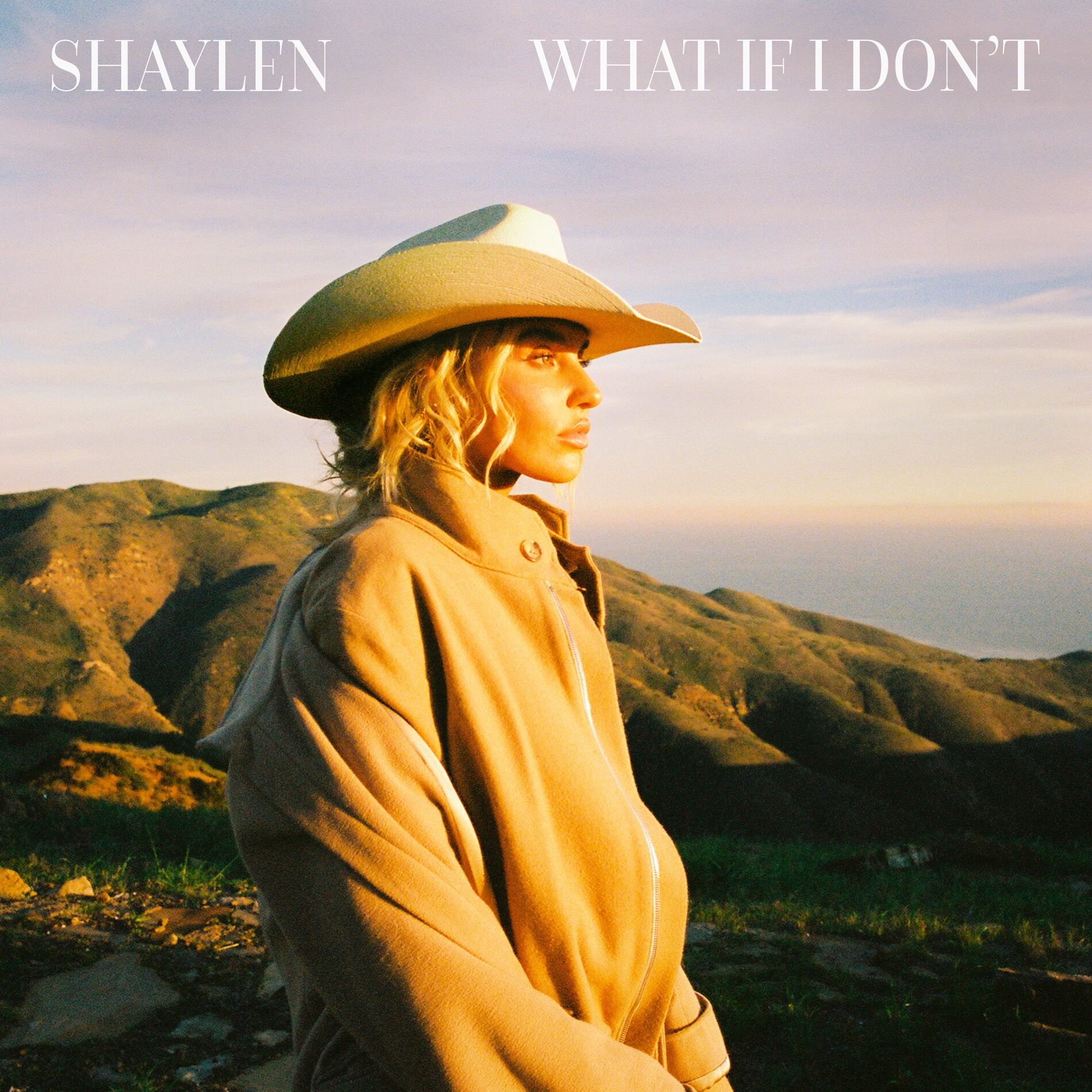 Album cover of What If I Don't