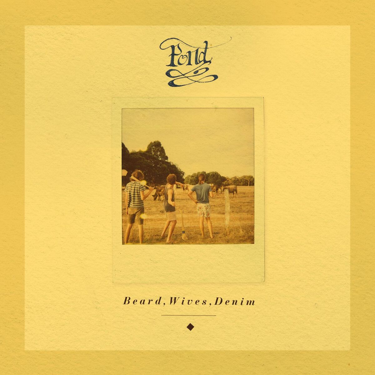 Album cover of Beard, Wives, Denim