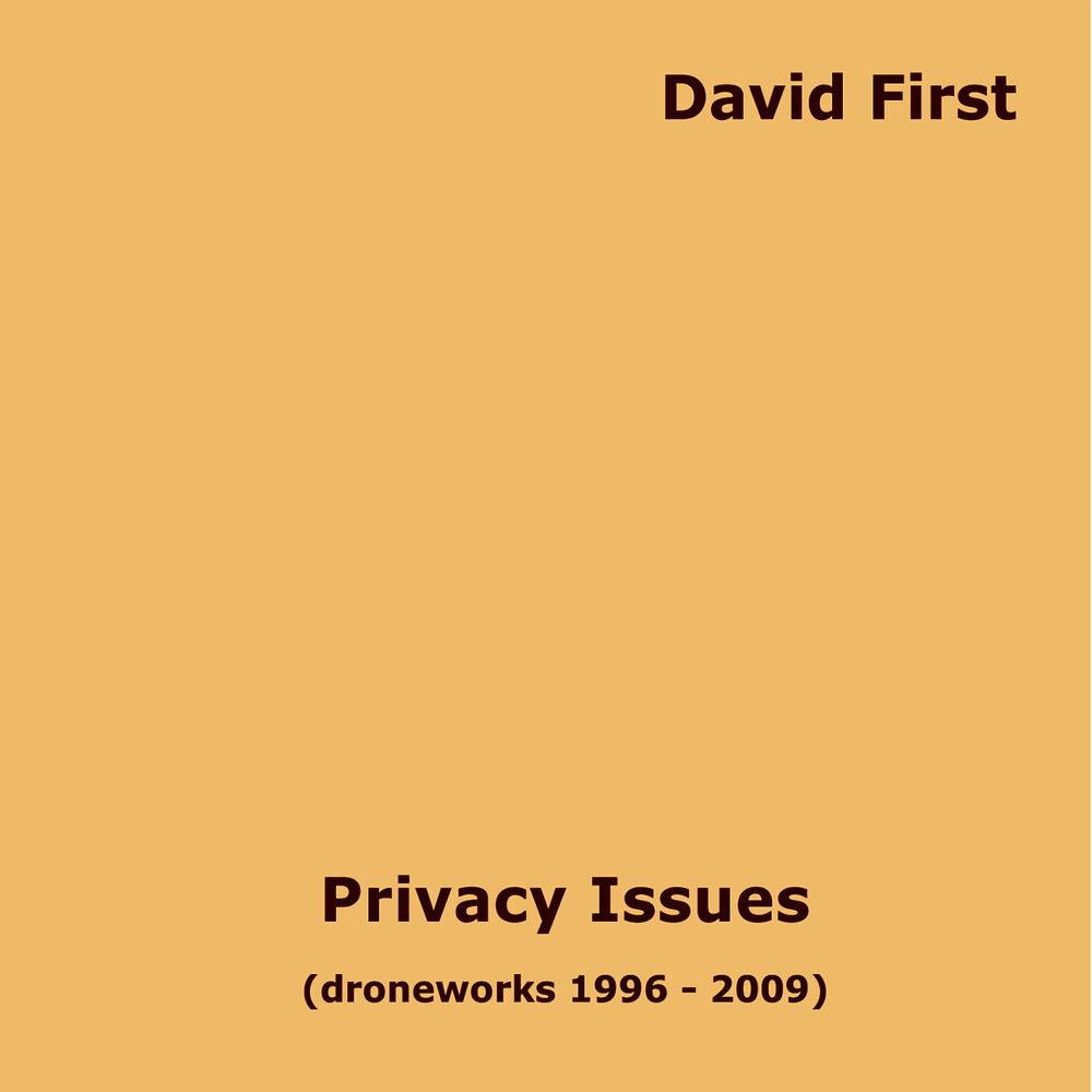 Picture of Privacy Issues (droneworks 1996-2009)