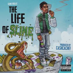 Cover of The Life Of Slime