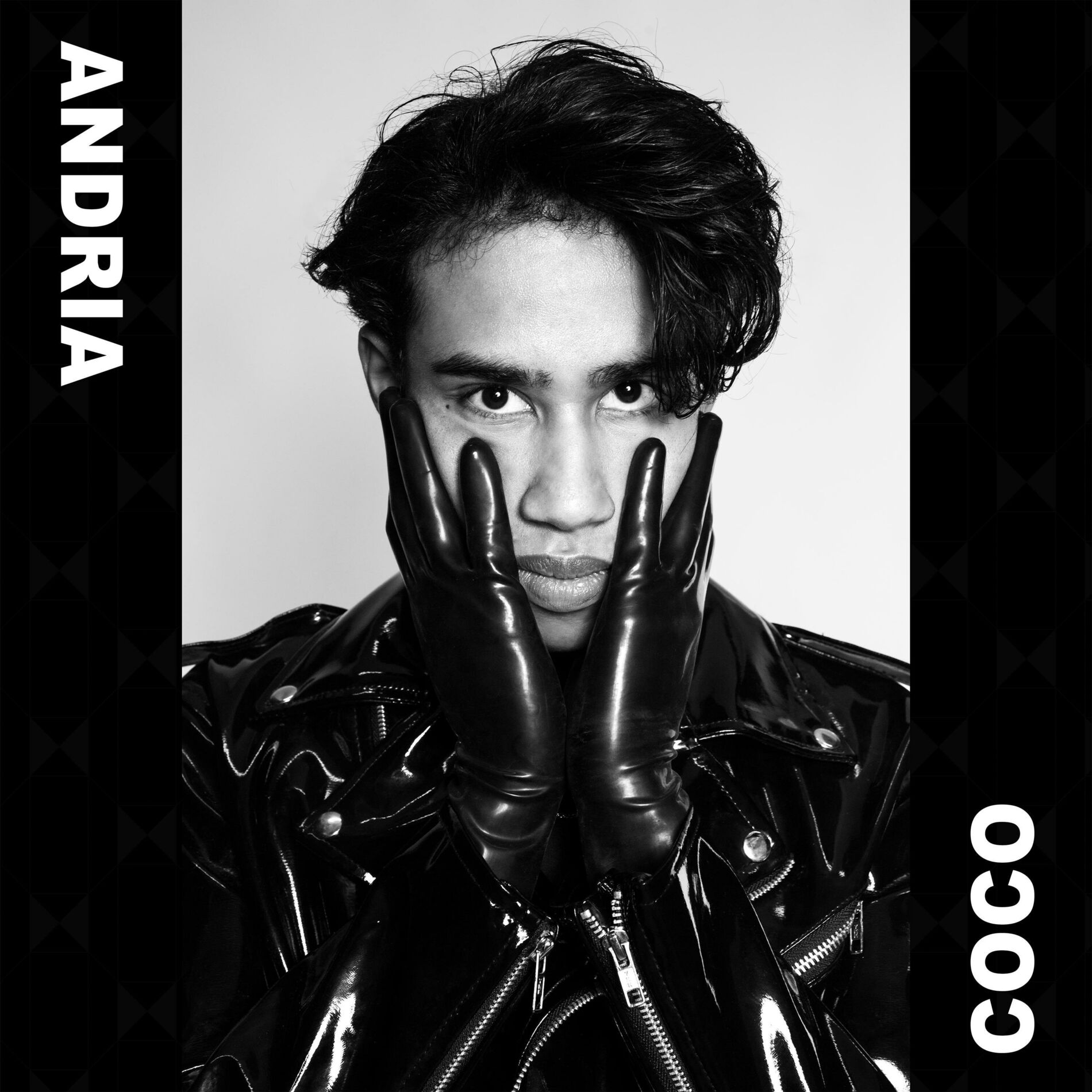 Album cover of Coco