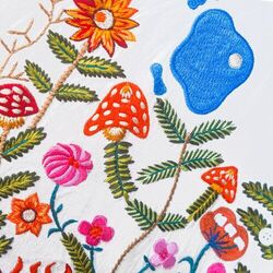 Cover of Mola Mola Groove Garden