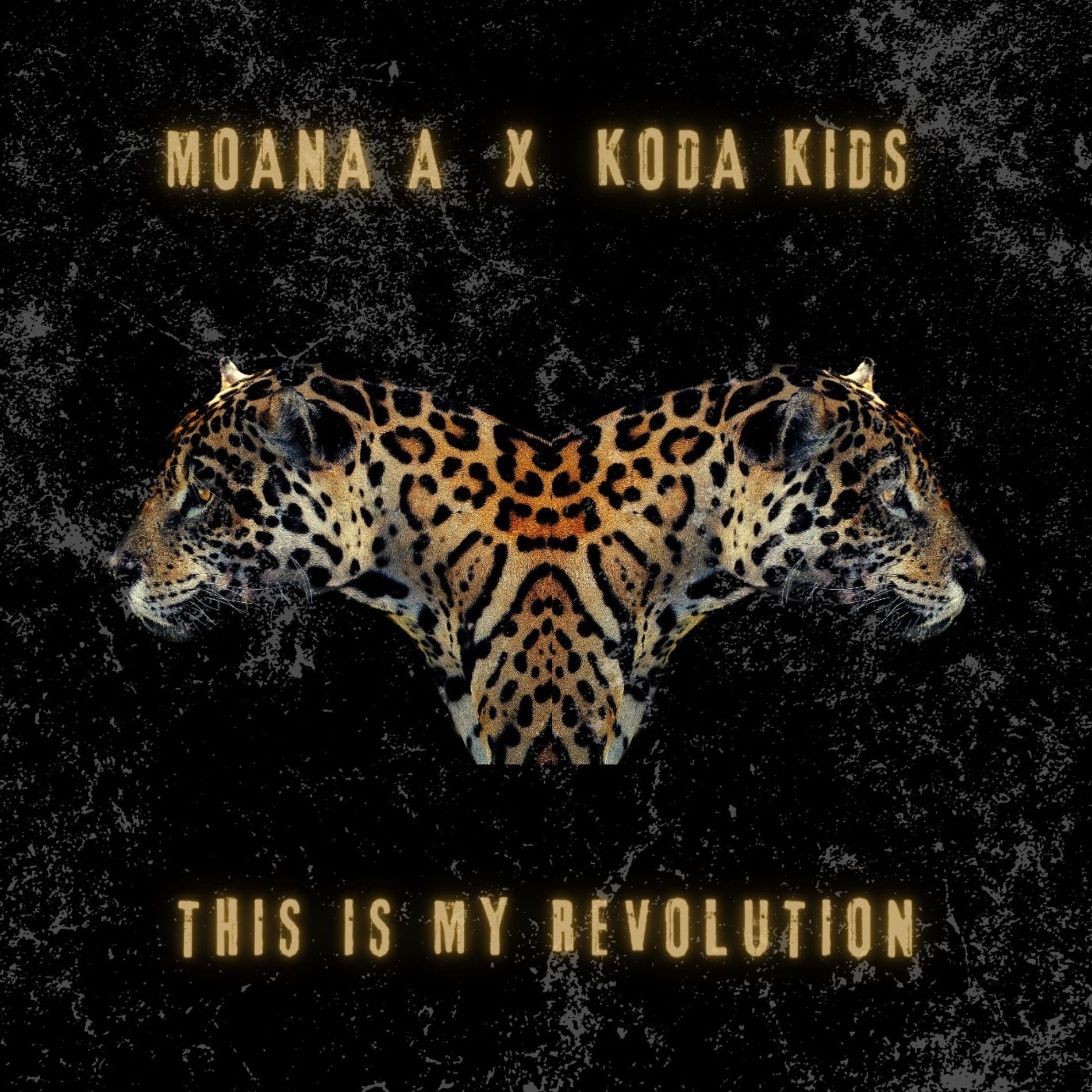 Album cover of This Is My Revolution